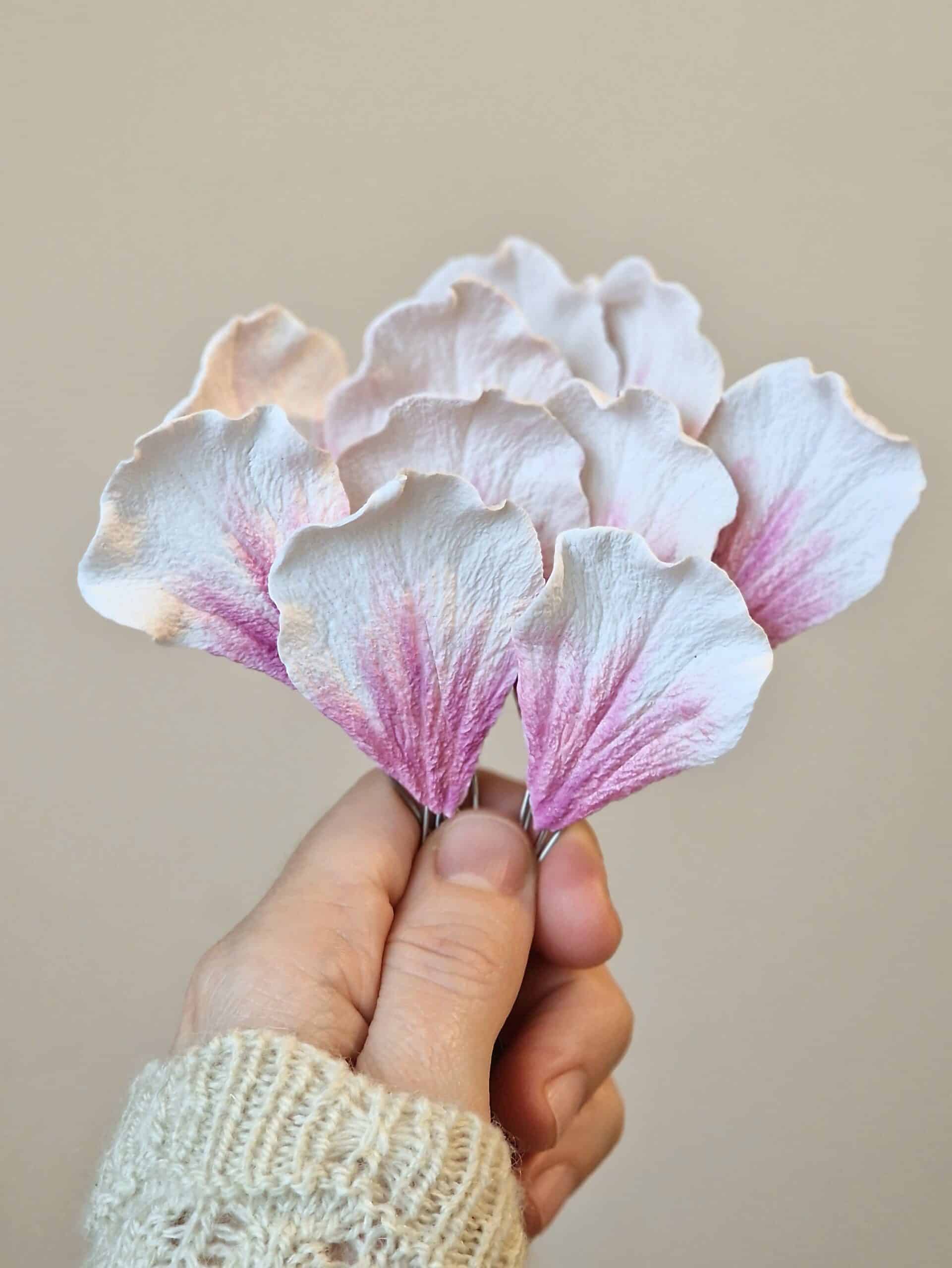 Set 10 Magnolia pure