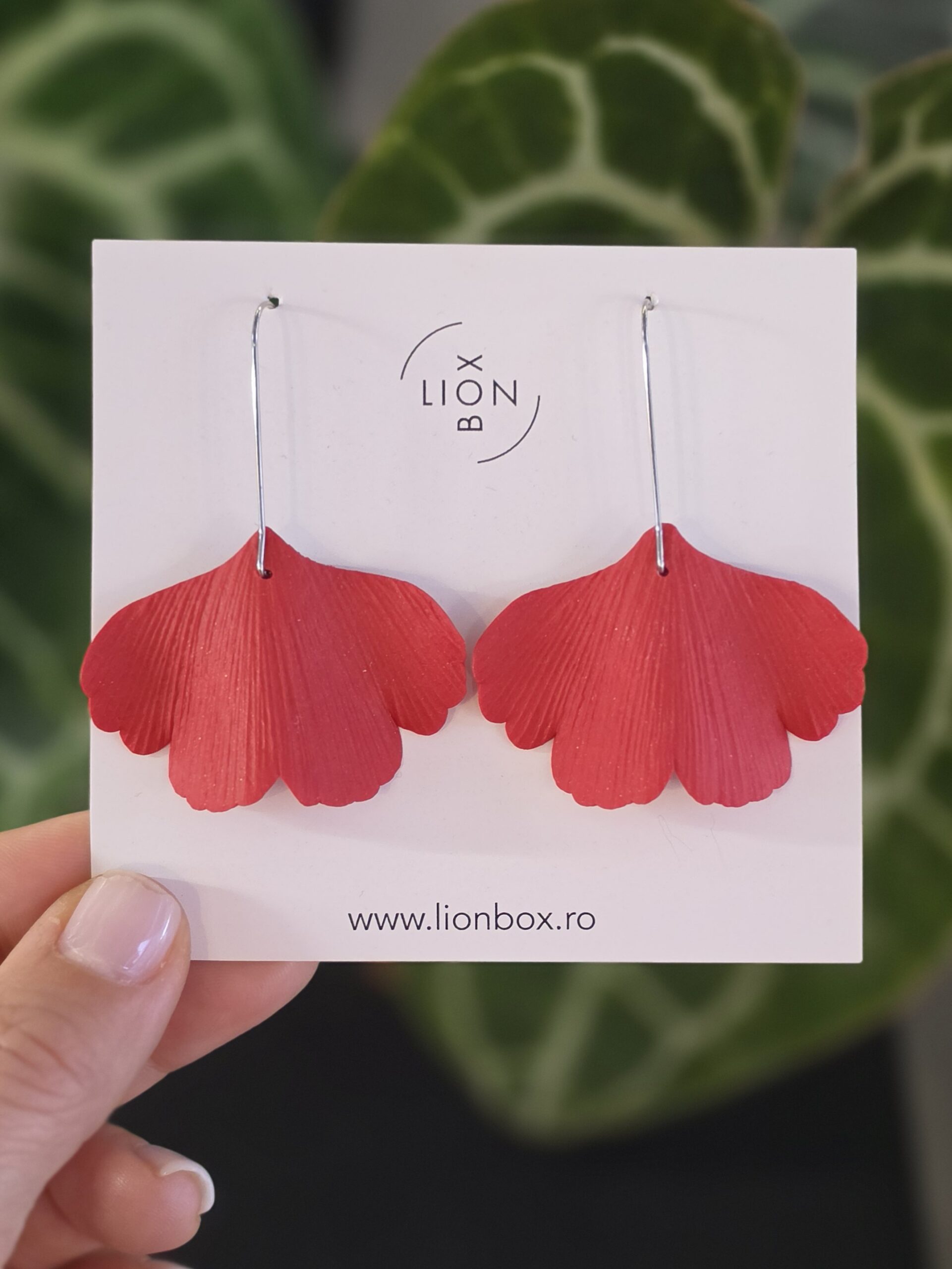 Cercei Ginkgo Biloba Ruby Red